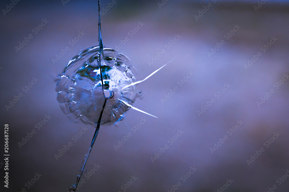 AdobeStock_206687128_Preview